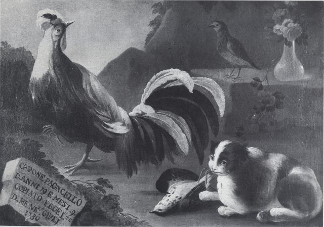 Anonimo — Giuli Nicola - sec. XVIII - Cappone, gatto e uccelli — insieme
